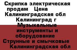 Скрипка электрическая продам › Цена ­ 7 000 - Калининградская обл., Калининград г. Музыкальные инструменты и оборудование » Струнные и смычковые   . Калининградская обл.